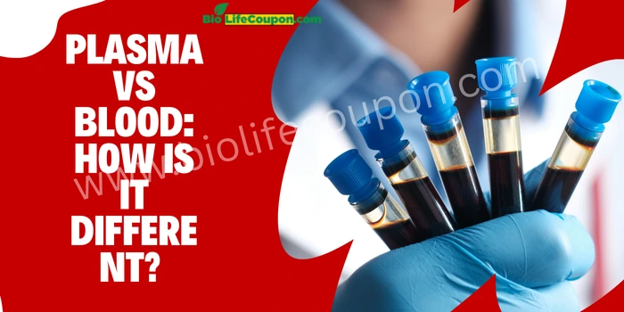 Plasma Vs Blood How Is It Different?