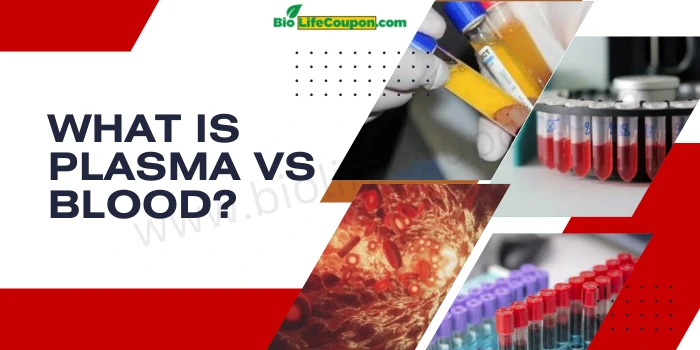 What Is Plasma Vs Blood?